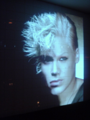 Billy Idol/Pink from the Bootie slide show