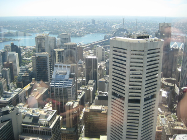 IMG_4293.JPG