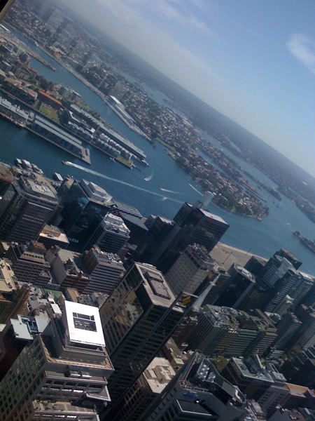 IMG_0479.JPG