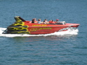 IMG_4224.JPG
