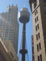 IMG_4292.JPG