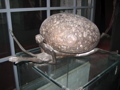 IMG_3868.JPG